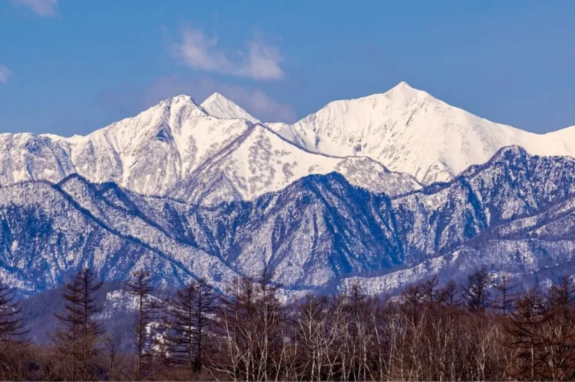 風景の画像