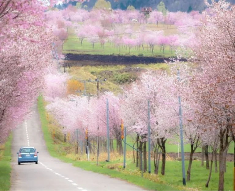 風景の画像